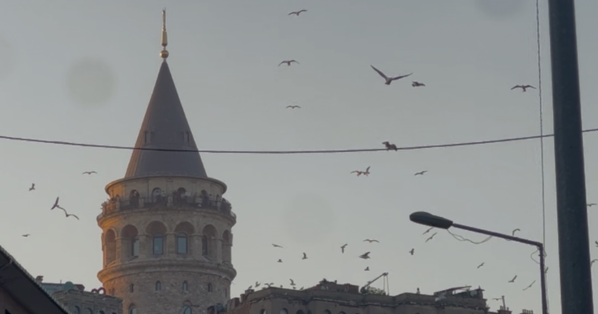 Istanbul: Ankommen und Neues lernen